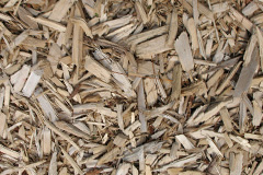 biomass boilers Merkinch
